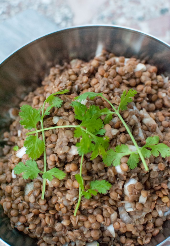 Lentil salad flavoured with fresh coriander & cardamom VAL EN BARCELONA